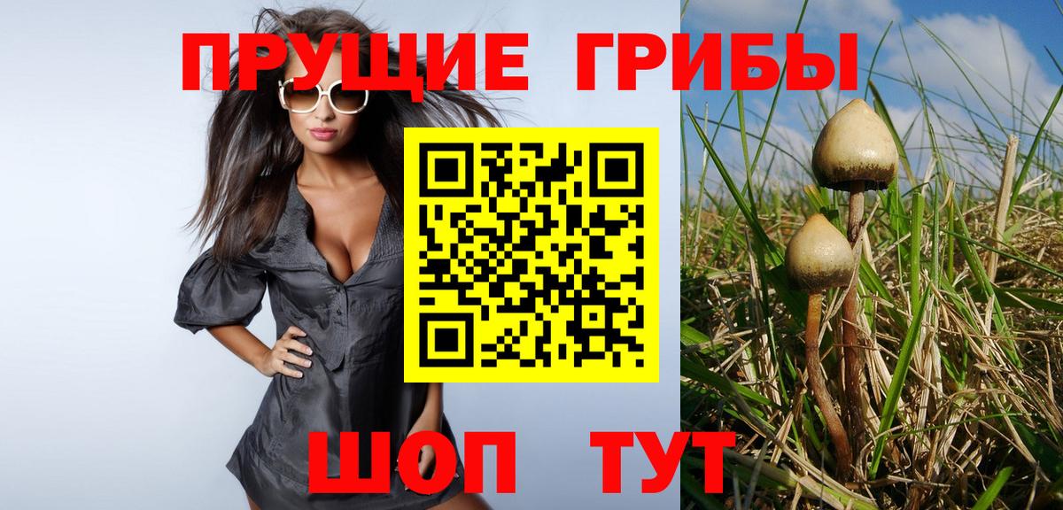Галлюциногенные грибы мицелий Ейск