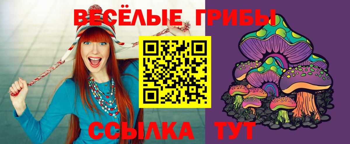 Ейск  Галлюциногенные грибы прущие грибы  как найти наркотики  Галлюциногенные грибы Psilocybe  Вход с VPN 
